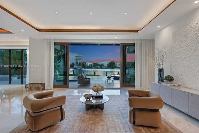 living room featuring a raised ceiling