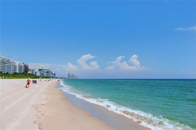 property view of water featuring a beach view