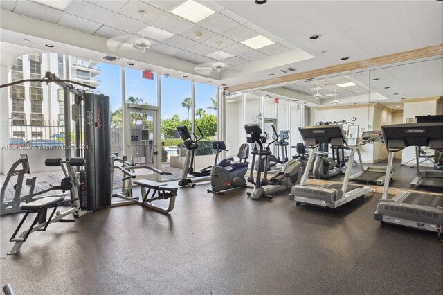 gym featuring ceiling fan, a paneled ceiling, and floor to ceiling windows