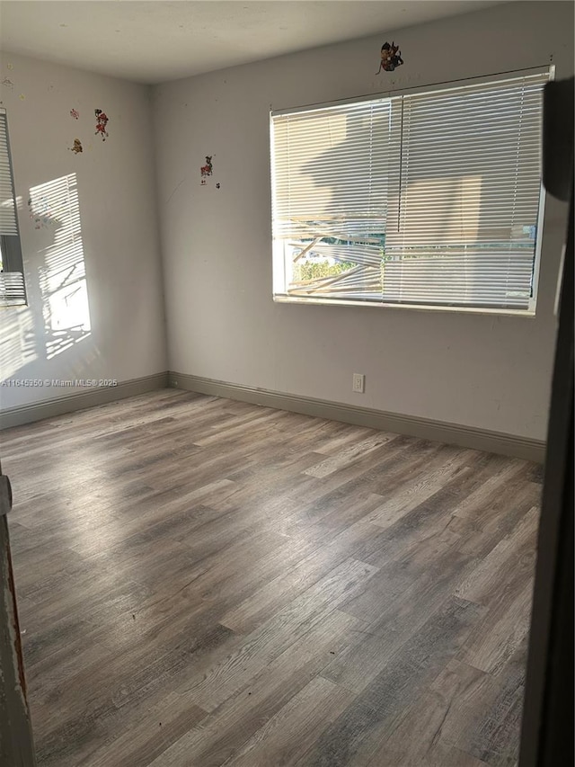 spare room featuring wood-type flooring