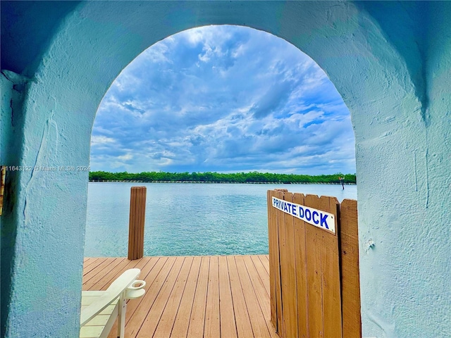 dock area with a water view