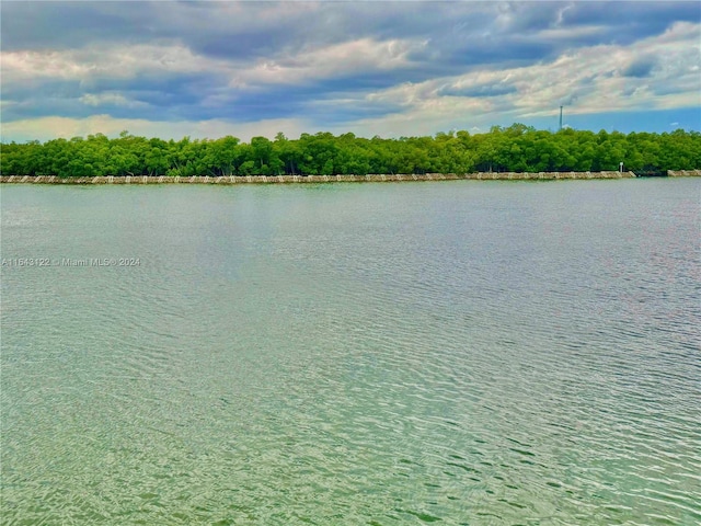 property view of water with a wooded view