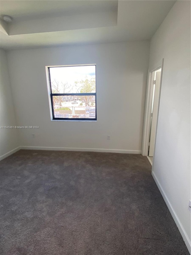 spare room with carpet