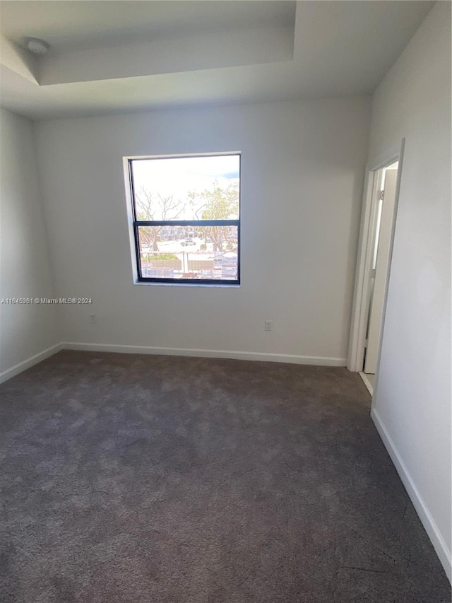 empty room featuring carpet