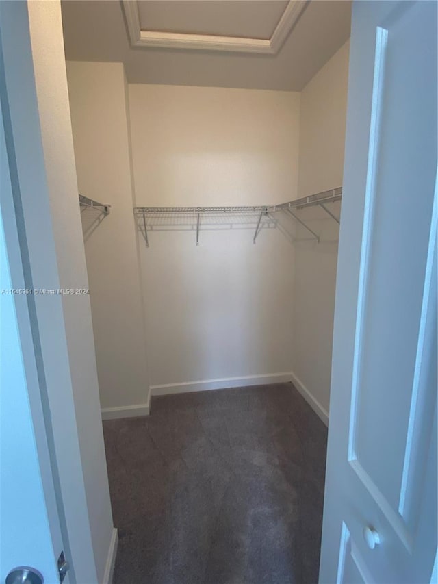 spacious closet featuring dark carpet