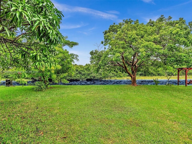 view of yard featuring a water view