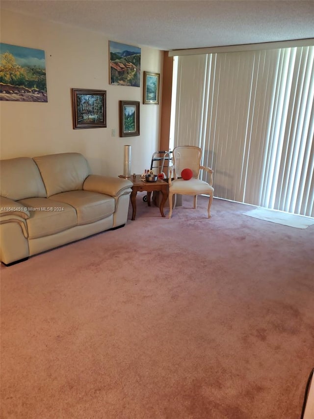 living room with a textured ceiling and carpet flooring