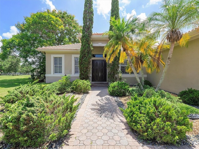 doorway to property with stucco siding and a tile roof