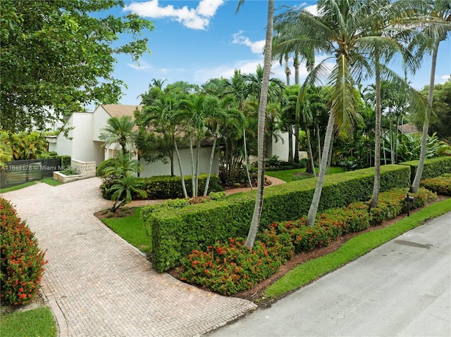 view of property's community featuring decorative driveway and a lawn