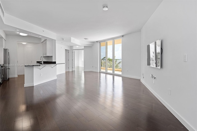 unfurnished living room with dark hardwood / wood-style flooring, sink, and floor to ceiling windows