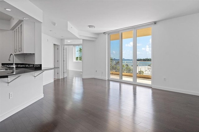 unfurnished living room featuring sink, a wall of windows, dark hardwood / wood-style floors, and a water view