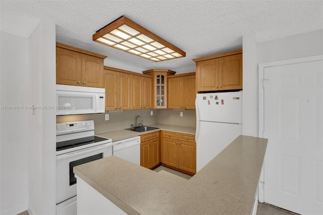 468 NE 206th Ln Unit 105, Miami, FL 33179 - kitchen featuring a textured ceiling, light countertops, white appliances, glass insert cabinets, and a sink