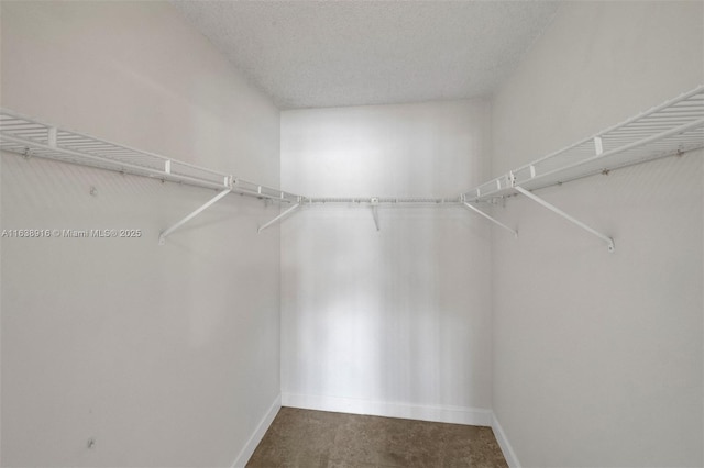468 NE 206th Ln Unit 105, Miami, FL 33179 - view of walk in closet