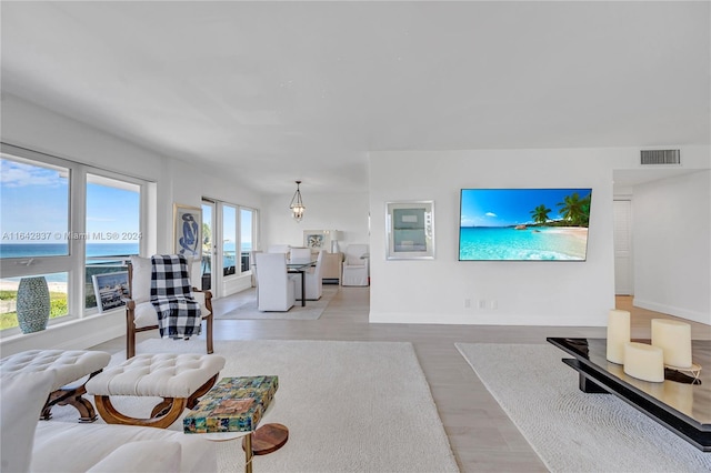 living room featuring light hardwood / wood-style flooring, a water view, and a healthy amount of sunlight