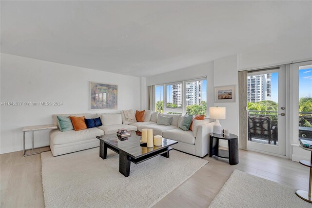 living room featuring light hardwood / wood-style flooring and a healthy amount of sunlight