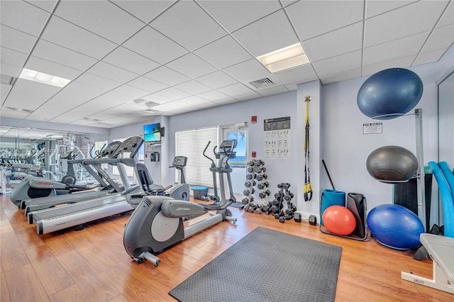 exercise room featuring wood-type flooring and a paneled ceiling