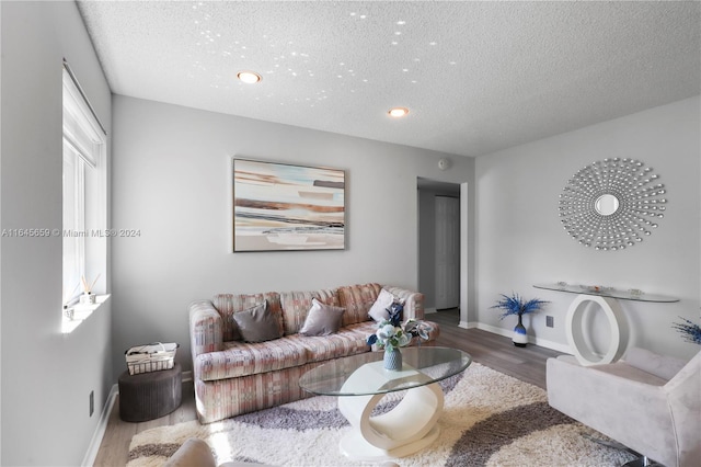 living room with a textured ceiling and hardwood / wood-style flooring