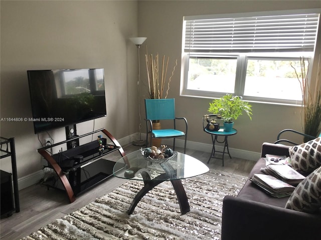 living room featuring hardwood / wood-style flooring