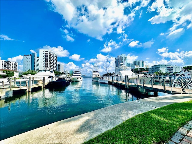 dock area with a water view