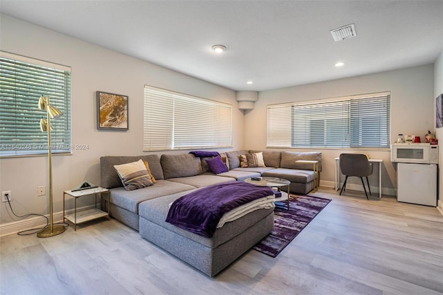 living room with light wood-type flooring