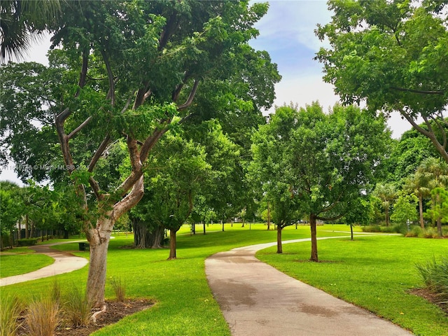 view of home's community featuring a lawn