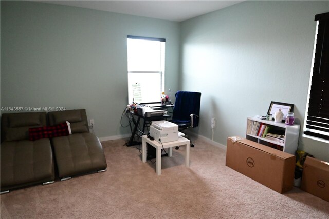 home office with light carpet