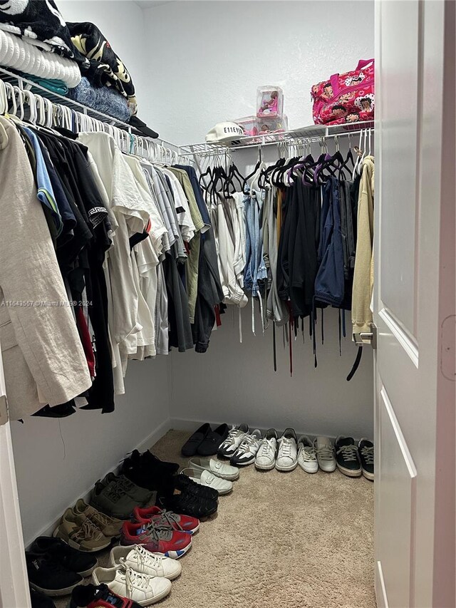 spacious closet featuring carpet