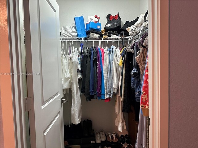 view of walk in closet