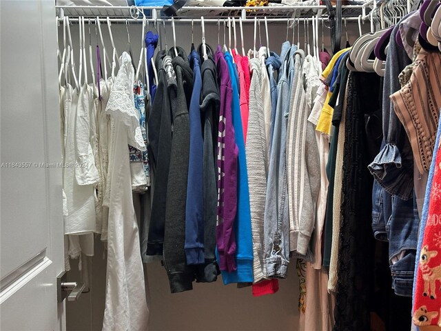 view of spacious closet