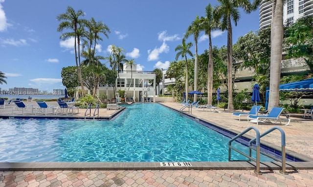 view of pool with a patio area