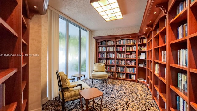 sitting room with a textured ceiling