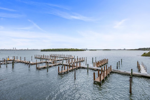 dock area featuring a water view