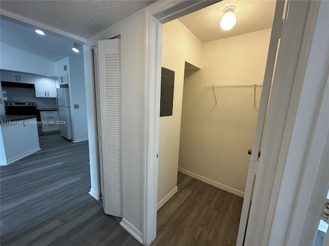 spacious closet featuring electric panel, dark wood-type flooring, and vaulted ceiling