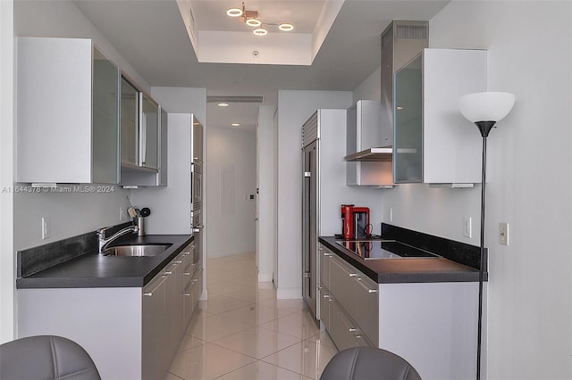 kitchen featuring exhaust hood, gray cabinetry, a tray ceiling, sink, and appliances with stainless steel finishes