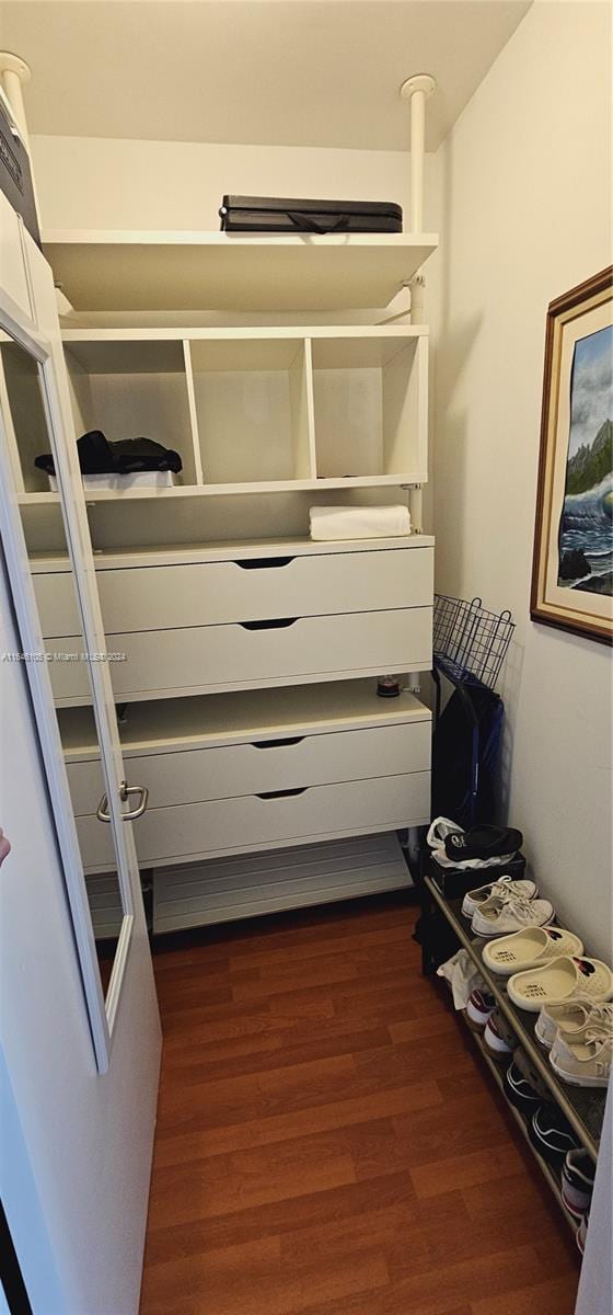 spacious closet with dark hardwood / wood-style floors