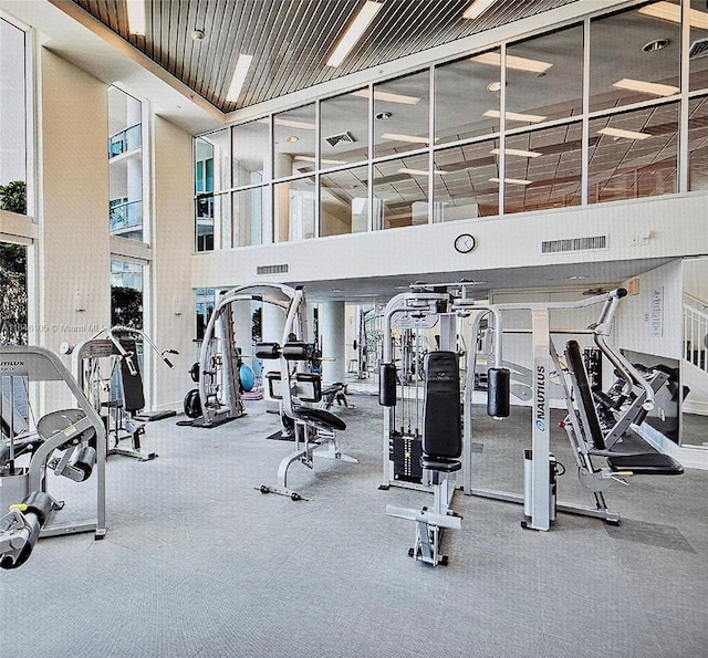 workout area with a wealth of natural light and a towering ceiling