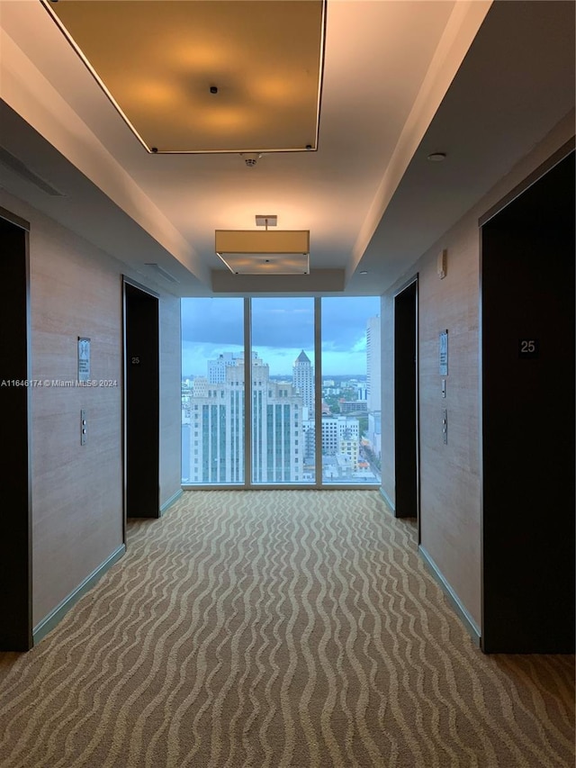 hall with carpet flooring, a raised ceiling, and expansive windows