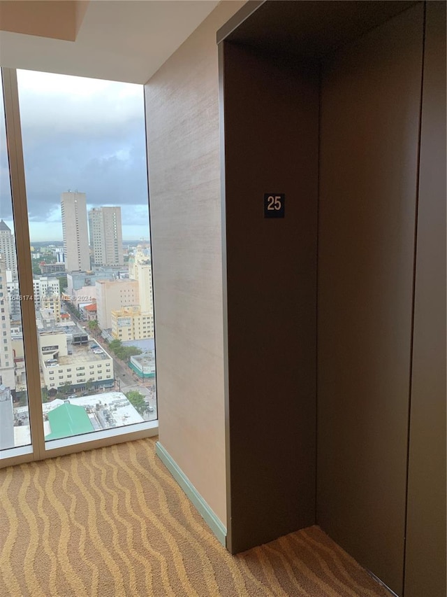 corridor featuring a wealth of natural light, carpet floors, and elevator