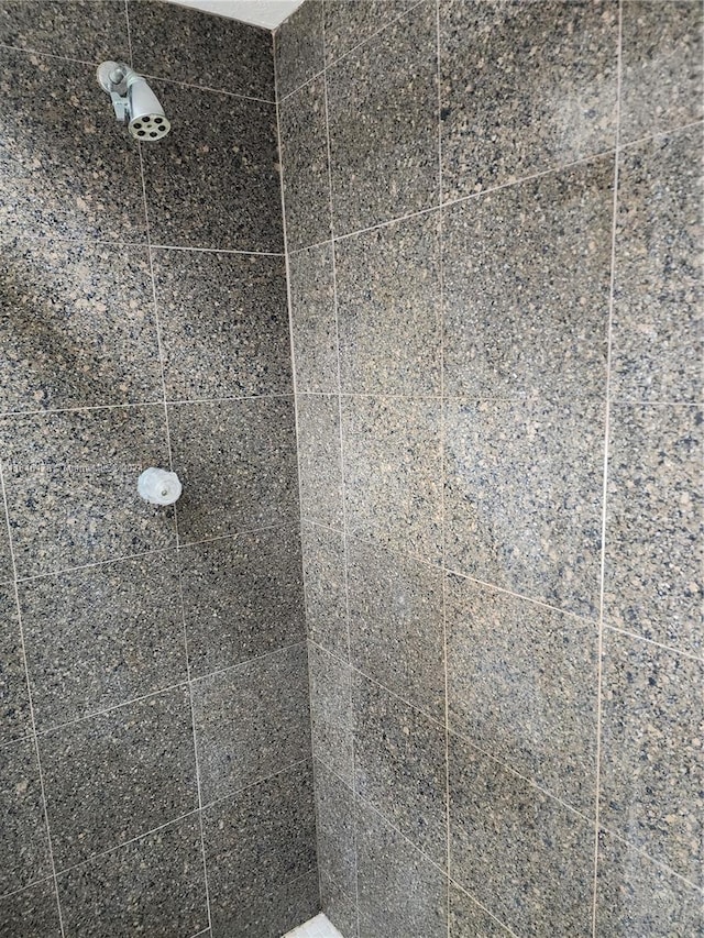 room details with tiled shower