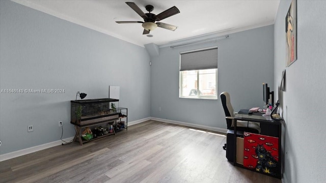 office featuring ceiling fan, crown molding, and wood-type flooring