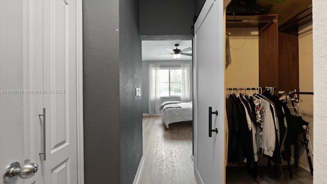 hallway featuring hardwood / wood-style flooring