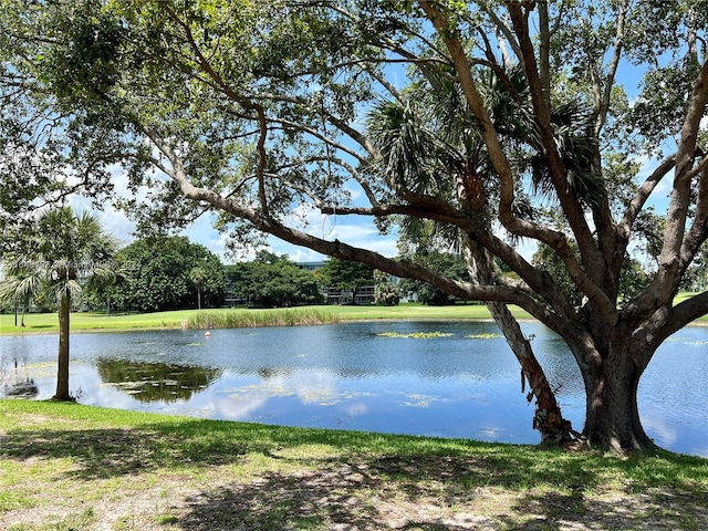 property view of water