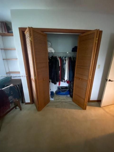 view of closet