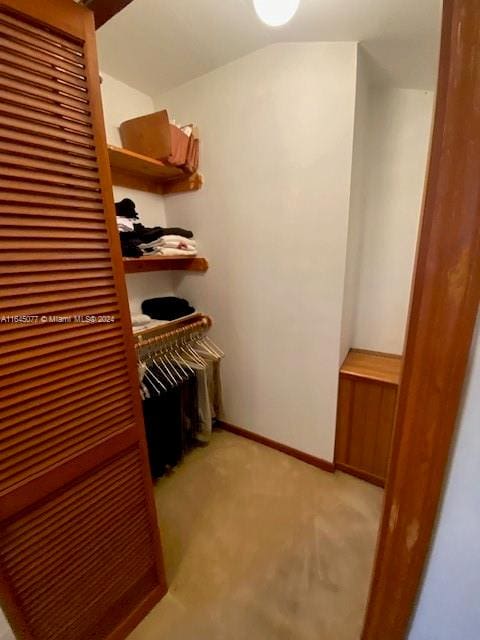 spacious closet with light colored carpet