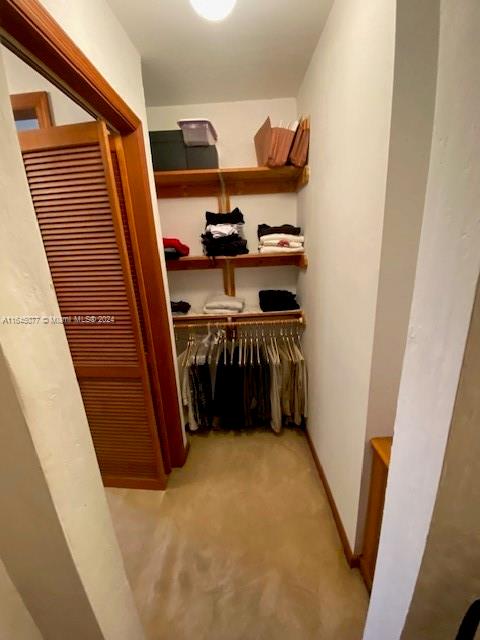 walk in closet with light colored carpet