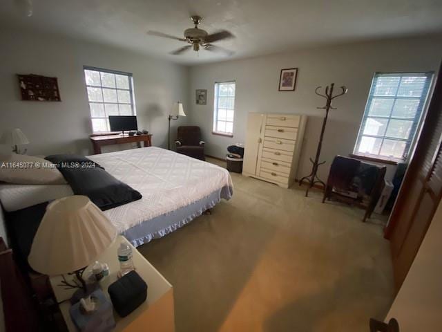 carpeted bedroom with ceiling fan and multiple windows