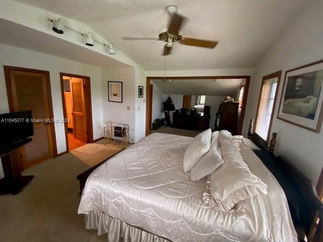 bedroom with ceiling fan, carpet flooring, vaulted ceiling, and track lighting