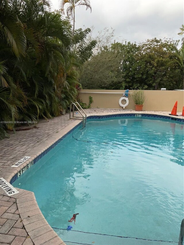 view of swimming pool