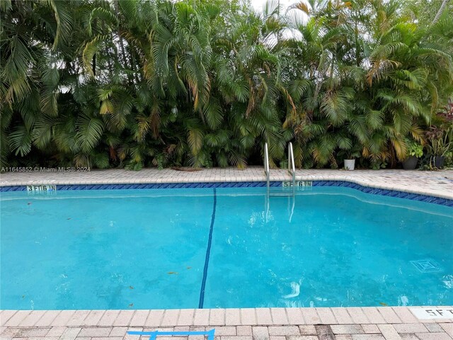 view of swimming pool