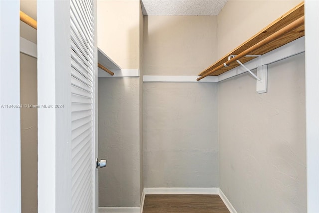 spacious closet with hardwood / wood-style flooring